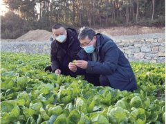专家“揭榜挂帅”　难题迎刃而解